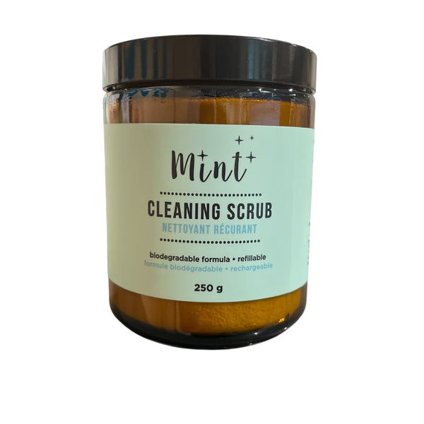 Mint Cleaning Scrub