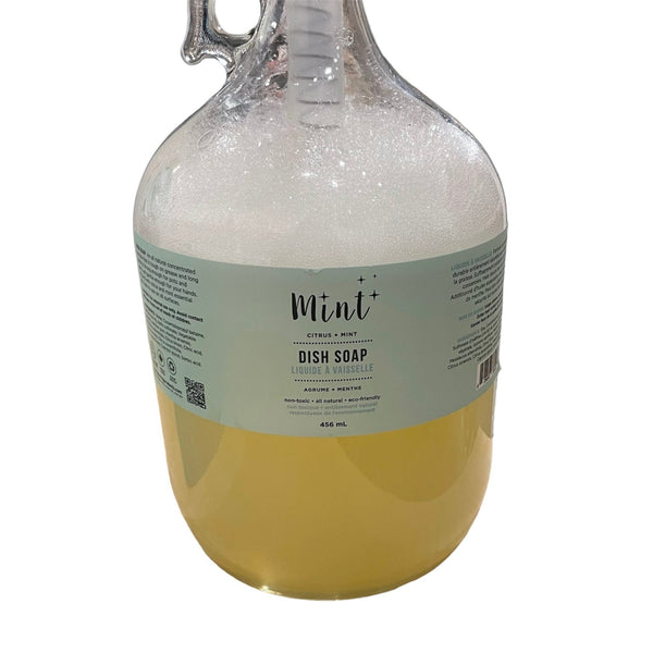 475G Mint Cleaning Dish Soap - The Alternative
