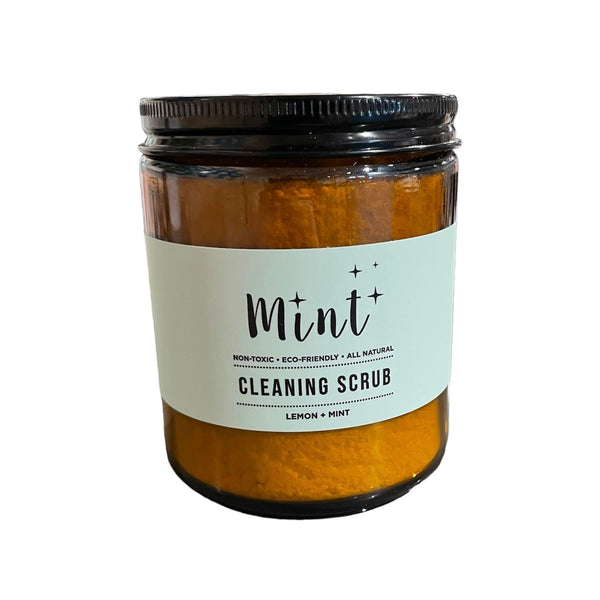 Mint Cleaning Scrub - The Alternative