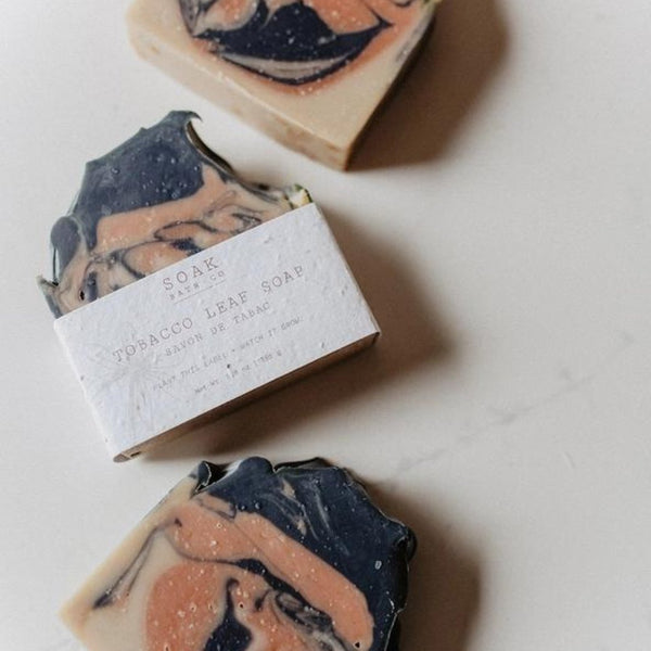 SOAK Bath Co Soap Bars - The Alternative